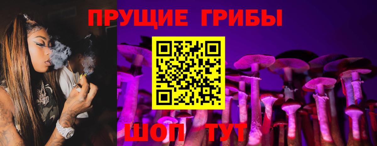 Галлюциногенные грибы Magic Shrooms  Вход с VPN  Псилоцибиновые грибы GOLDEN TEACHER  Великий Новгород 